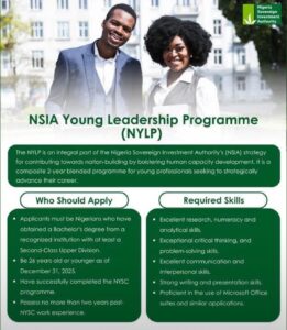 NSIA Young Leadership Program 2025