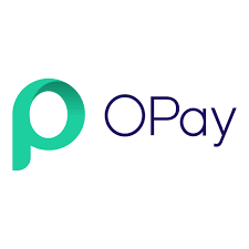 City Sales Manager at Opay