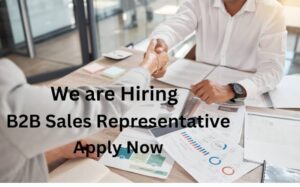 Remote B2B Sales Executive at Biz Afric Solutions