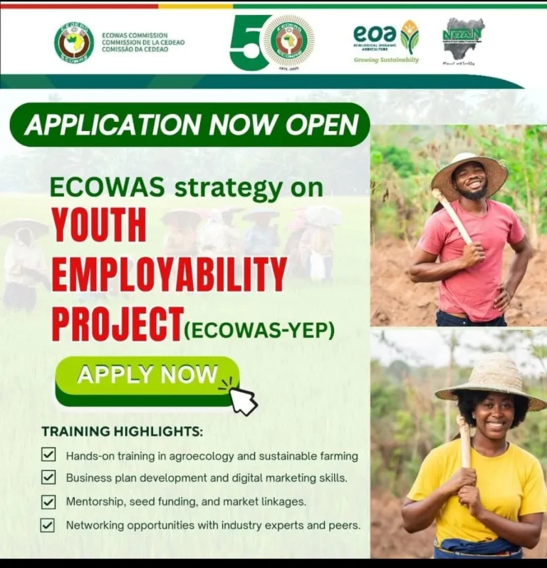 ECOWAS Strategy on Youth Employability Project (ECOWAS-YEP)