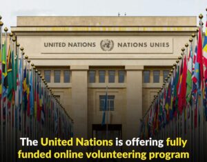 Apply Now for the United Nation Online Volunteer Program 2025 | Volunteer With UN