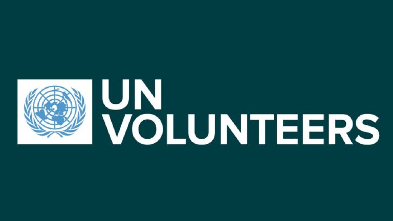 UN Online Volunteer Program 2025 | Gain Global Experience