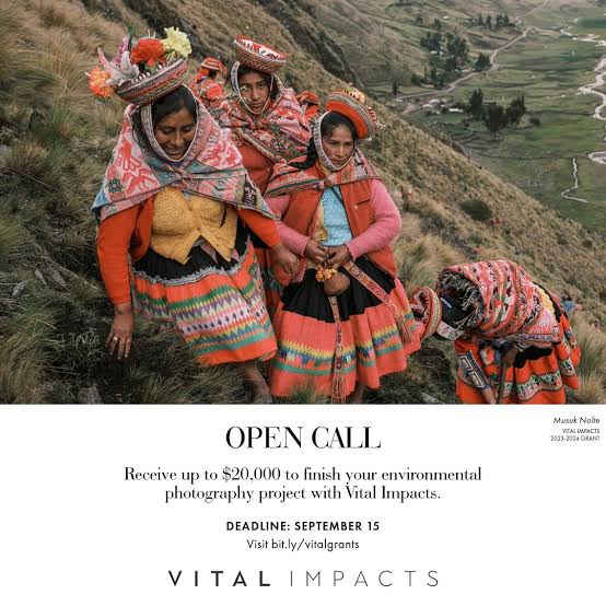 2025 Vital Impact Environmental Photography Grant