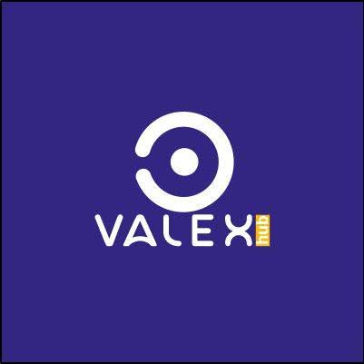 Valex-Hub Virtual Internship Opportunities 2025
